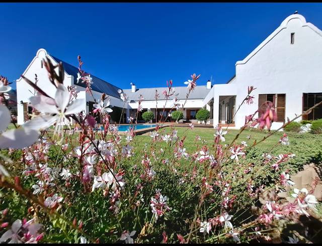 10HA FARM FOR SALE IN STELLENBOSCH FARMS